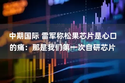 中期国际 雷军称松果芯片是心口的痛：那是我们第一次自研芯片