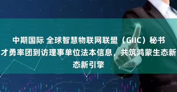 中期国际 全球智慧物联网联盟（GIIC）秘书长胡才勇率团到访理事单位法本信息，共筑鸿蒙生态新引擎