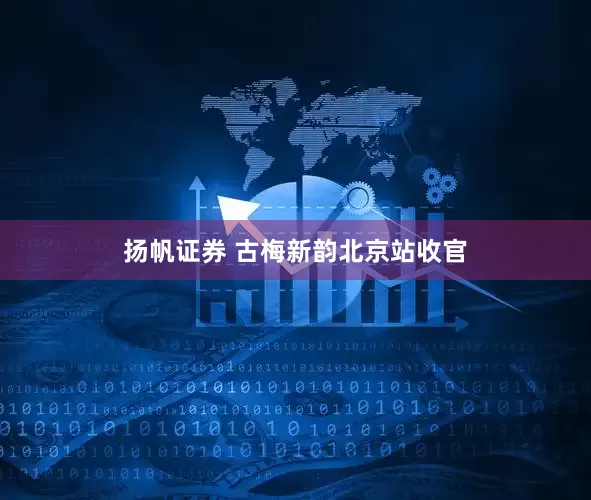 扬帆证券 古梅新韵北京站收官