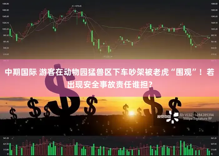 中期国际 游客在动物园猛兽区下车吵架被老虎“围观”！若出现安全事故责任谁担？