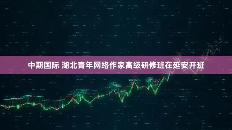 中期国际 湖北青年网络作家高级研修班在延安开班