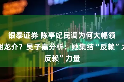 银泰证券 陈亭妃民调为何大幅领先谢龙介？吴子嘉分析：她集结“反赖”力量