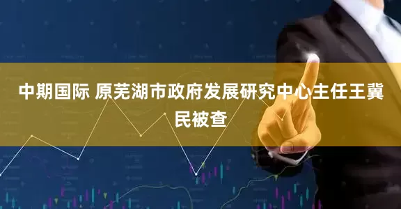 中期国际 原芜湖市政府发展研究中心主任王冀民被查