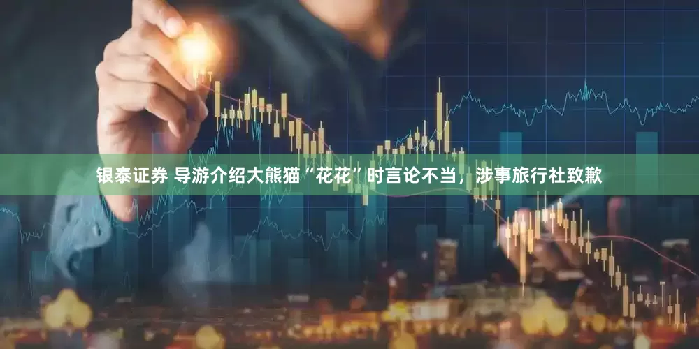 银泰证券 导游介绍大熊猫“花花”时言论不当，涉事旅行社致歉
